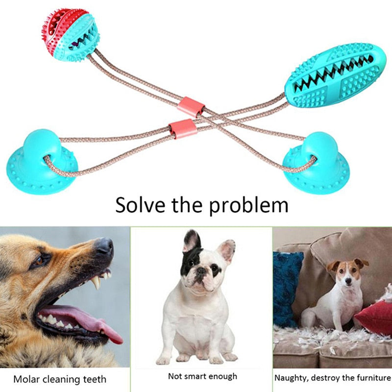 Pet Molar Bite Toy