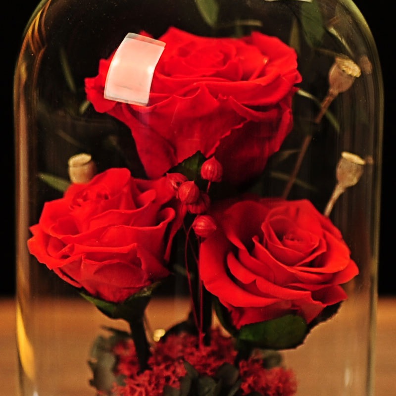 Immortal Dried Roses, Glass Cover Gift Box